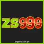 zs999